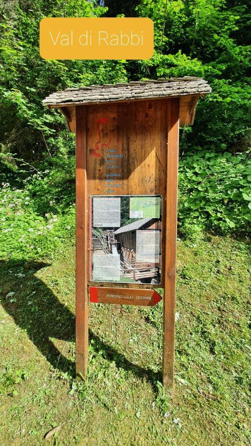 Marmot Apartment Dimaro Kültér fotó